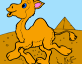 Desenho Camelo pintado por Valner