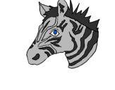 Desenho Zebra II pintado por anónimo