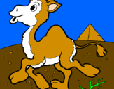 Desenho Camelo pintado por lybni