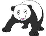 Desenho Urso panda pintado por carolina