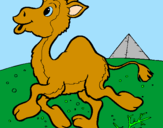 Desenho Camelo pintado por barbara souza