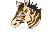 Desenho Zebra II pintado por Zebrinha