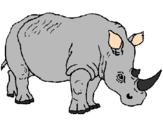 Desenho Rinoceronte pintado por Vinícius A. Peregrino