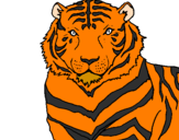 Desenho Tigre pintado por Tigrão