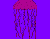 Desenho Medusa pintado por pterodatilo