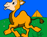 Desenho Camelo pintado por margarida