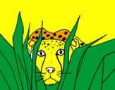 Desenho Guepardo pintado por luana