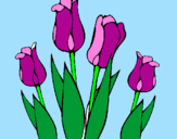Desenho Tulipa pintado por joao lucs