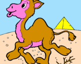 Desenho Camelo pintado por josé victor