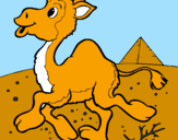 Desenho Camelo pintado por GABRIEL