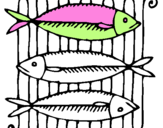 Desenho Peixe pintado por peixe