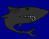 Desenho Tubarão pintado por demonio