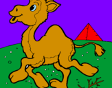 Desenho Camelo pintado por joão vitor