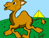 Desenho Camelo pintado por Cameindo
