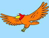 Desenho Falcão pintado por gaviao