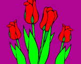 Desenho Tulipa pintado por luana
