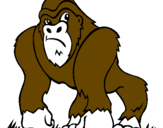Desenho Gorila pintado por thiago 