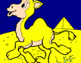 Desenho Camelo pintado por Davi