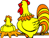 Desenho Galo e galinha pintado por Cisnes