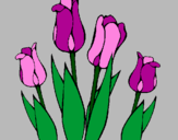 Desenho Tulipa pintado por flor