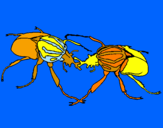 Desenho Escaravelhos pintado por vvcbhvhd22kvvgvg88bg