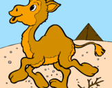 Desenho Camelo pintado por lorena castro