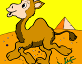 Desenho Camelo pintado por CAIO