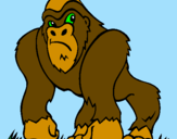 Desenho Gorila pintado por romario