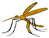 Desenho Mosquito pintado por DANIEL