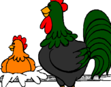 Desenho Galo e galinha pintado por witor