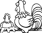 Desenho Galo e galinha pintado por galo e galinha