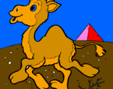 Desenho Camelo pintado por raquel de souza