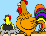 Desenho Galo e galinha pintado por lorena castro