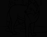 Desenho Lobo pintado por chuchu