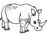 Desenho Rinoceronte pintado por walter