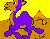 Desenho Camelo pintado por joao victor