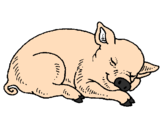 Desenho Porco a dormir pintado por ro