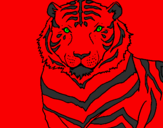 Desenho Tigre pintado por leopardo
