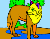Desenho Lobo pintado por lobo guara
