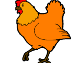 Desenho Galinha pintado por galinha kkkk