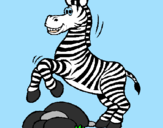 Desenho Zebra a saltar pedras pintado por Pipa