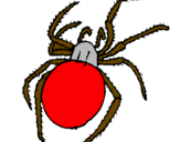 Desenho Aranha venenosa pintado por aranha