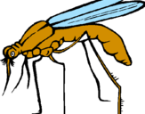 Desenho Mosquito pintado por antonio