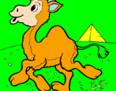 Desenho Camelo pintado por melanie nobre