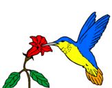 Desenho Colibri e uma flor pintado por BEIJA FLOR