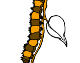 Desenho Lagarta pintado por lagarta