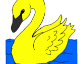 Desenho Cisne pintado por debora