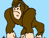 Desenho Gorila pintado por savioc