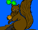 Desenho Esquilo pintado por diego