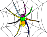 Desenho Aranha pintado por marcos